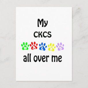Cavalier King Charles Spaniel Walks Design Postkarte