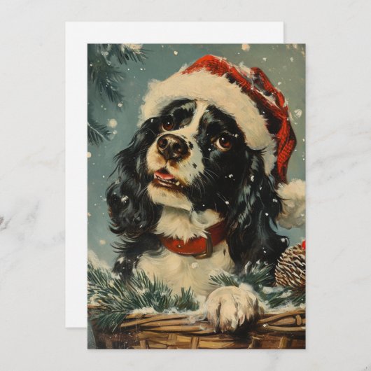 Cavalier King Charles Spaniel Weihnachten (Vorne/Hinten)