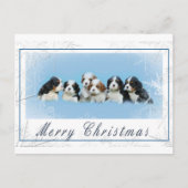 Cavalier King Charles Spaniel Weihnachten (Vorderseite)