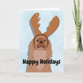 Cavalier King Charles Spaniel Weihnachten