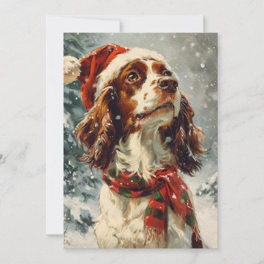 Cavalier King Charles Spaniel Weihnachten (Vorderseite)