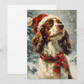 Cavalier King Charles Spaniel Weihnachten (Vorne/Hinten)