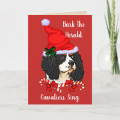Cavalier King Charles Spaniel Weihnachten (Vorderseite)