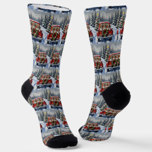 Cavalier King Charles Spaniel Weihnachten Rotes La Socken