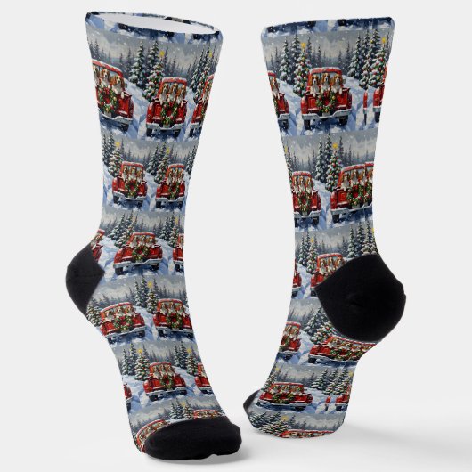 Cavalier King Charles Spaniel Weihnachten Rotes La Socken (Gewinkelt)