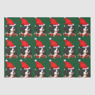 Cavalier King Charles Spaniel Weihnachten Seidenpapier