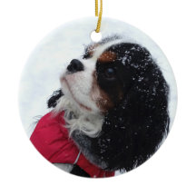 Cavalier King Charles Spaniel Weihnachtsdekoration