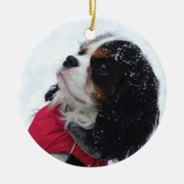 Cavalier King Charles Spaniel Weihnachtsdekoration Keramik Ornament