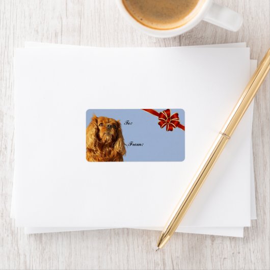 Cavalier King Charles Spaniel Weihnachtsgeschenk-T Adressaufkleber (Insitu)