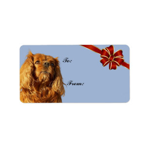 Cavalier King Charles Spaniel Weihnachtsgeschenk-T Adressaufkleber