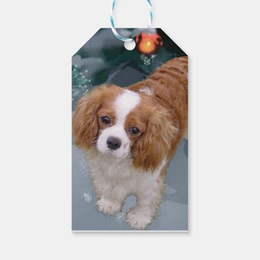 Cavalier King Charles Spaniel Weihnachtsgeschenke Geschenkanhänger (Rückseite)