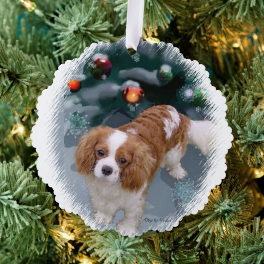 Cavalier King Charles Spaniel Weihnachtsgeschenke Ornament Karte (Insitu (Baum))