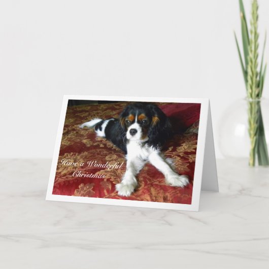 Cavalier King Charles Spaniel Weihnachtskarte Feiertagskarte (Vorderseite)