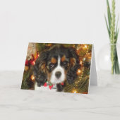 Cavalier King Charles Spaniel Weihnachtskarte Feiertagskarte (Rückseite)
