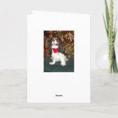 Cavalier King Charles Spaniel Weihnachtskarte Feiertagskarte (Rückseite)