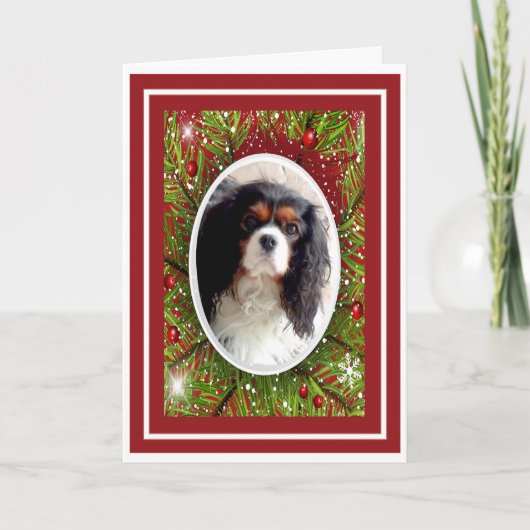 Cavalier King Charles Spaniel Weihnachtskarte Feiertagskarte (Vorderseite)