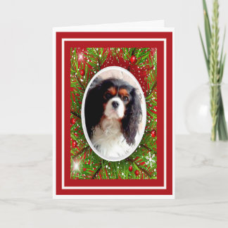 Cavalier King Charles Spaniel Weihnachtskarte Feiertagskarte