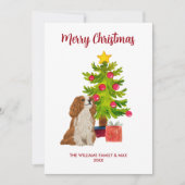 Cavalier King Charles Spaniel Weihnachtskarte Feiertagskarte (Vorderseite)