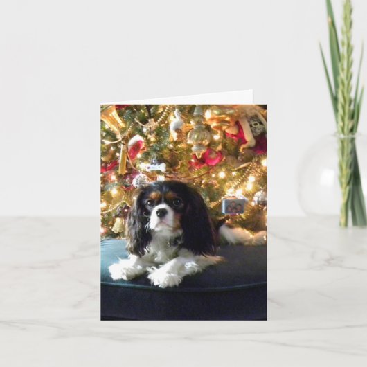 Cavalier King Charles Spaniel Weihnachtskarte Feiertagskarte (Vorderseite)
