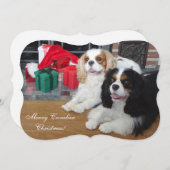 Cavalier King Charles Spaniel Weihnachtskarte Feiertagskarte (Vorne/Hinten)