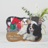 Cavalier King Charles Spaniel Weihnachtskarte Feiertagskarte (Stehend Vorderseite)