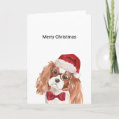 Cavalier King Charles Spaniel Weihnachtskarte Karte (Vorderseite)