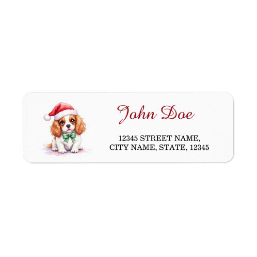 Cavalier King Charles Spaniel Weihnachtsmannmütze  (Vorne)