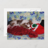 Cavalier King Charles Spaniel Weihnachtsüberladung Feiertagspostkarte (Vorne/Hinten)