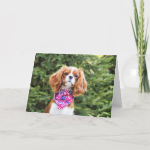 Cavalier King Charles Spaniel Welpe 4. Juli Karte