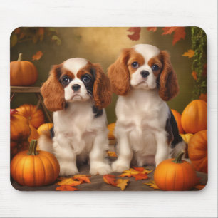 Cavalier King Charles Spaniel Welpe Herbst Kürbis Mousepad