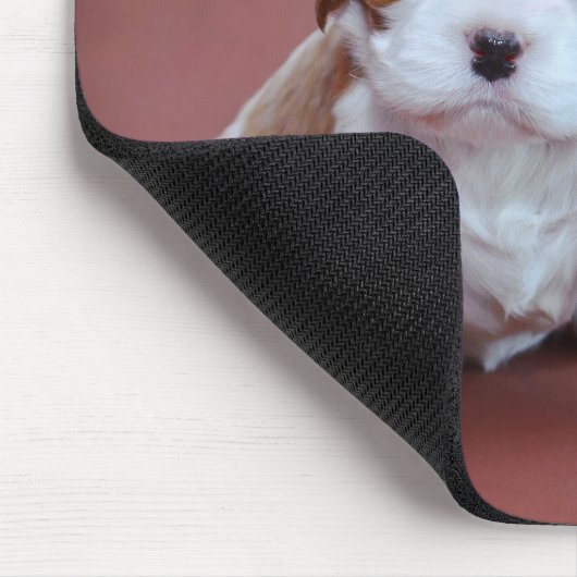 Cavalier King Charles Spaniel Welpe Mousepad (Ecke)