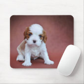 Cavalier King Charles Spaniel Welpe Mousepad (Mit Mouse)
