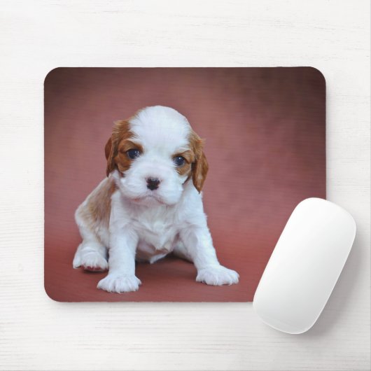 Cavalier King Charles Spaniel Welpe Mousepad (Mit Mouse)