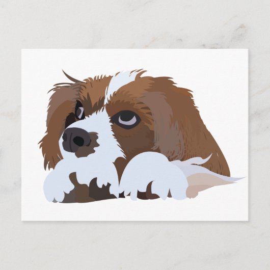 Cavalier King Charles Spaniel Welpe Postkarte (Vorderseite)