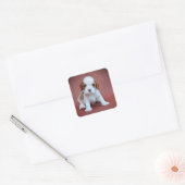 Cavalier King Charles Spaniel Welpe Quadratischer Aufkleber (Umschlag)