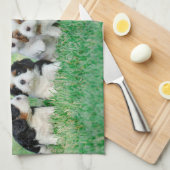 Cavalier King Charles Spaniel Welpen Geschirrtuch (Viertel Falte)