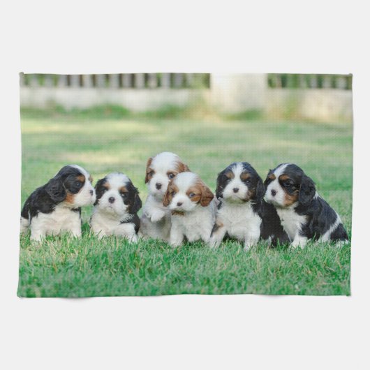 Cavalier King Charles Spaniel Welpen Geschirrtuch (Horizontal)