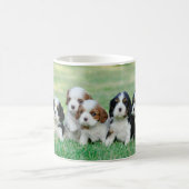 Cavalier King Charles Spaniel Welpen Kaffeetasse (Mittel)
