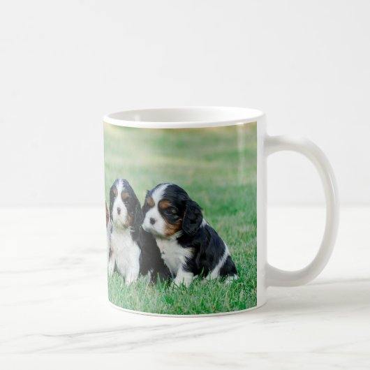 Cavalier King Charles Spaniel Welpen Kaffeetasse (Rechts)