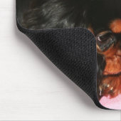 Cavalier King Charles Spaniel Welpen Mousepad (Ecke)