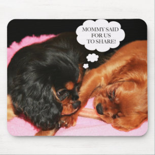 Cavalier King Charles Spaniel Welpen Mousepad