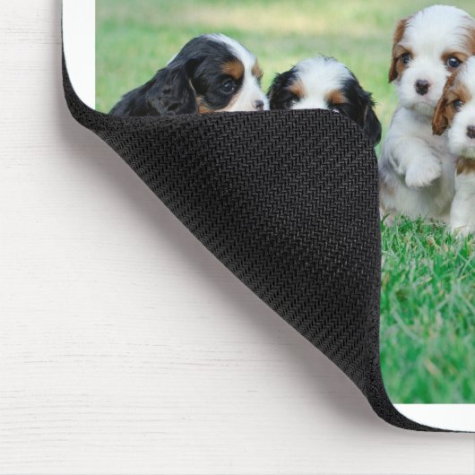 Cavalier King Charles Spaniel Welpen Mousepad (Ecke)