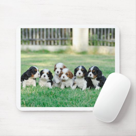 Cavalier King Charles Spaniel Welpen Mousepad (Mit Mouse)