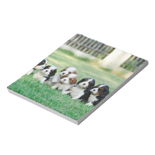 Cavalier King Charles Spaniel Welpen Notizblock (Rotiert)