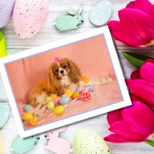 Cavalier King Charles Spaniel Welpen-Osterkarte