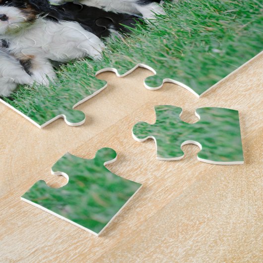 Cavalier King Charles Spaniel Welpen Puzzle (Seite)