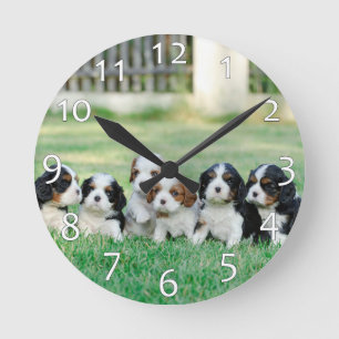 Cavalier King Charles Spaniel Welpen Runde Wanduhr