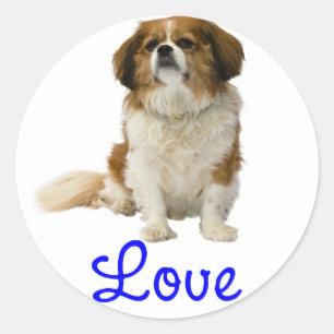 Cavalier King Charles Spaniel Welpen Sticker