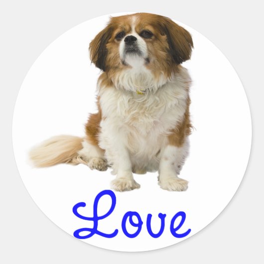 Cavalier King Charles Spaniel Welpen Sticker (Vorderseite)