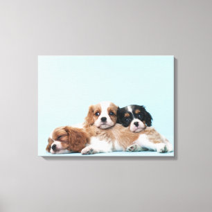 Cavalier King Charles Spaniel Welppies Leinwanddruck